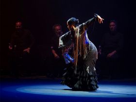 Un avant-goût de la programmation Arte Flamenco 2019
